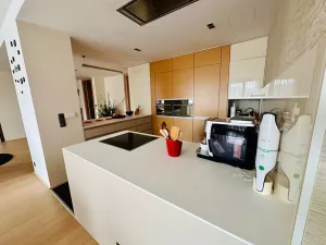 Prodej bytu 4+kk, Brno, Dřevařská, 172 m2