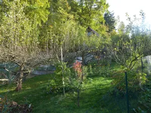 Prodej zahrady, Skalice u České Lípy, 52 m2