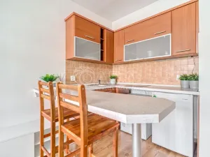 Prodej bytu 1+kk, Ostrava - Moravská Ostrava, U Parku, 29 m2