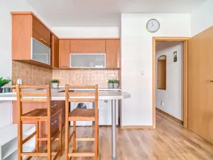 Prodej bytu 1+kk, Ostrava - Moravská Ostrava, U Parku, 29 m2