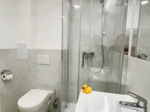 Pronájem bytu 2+kk, Ostrava - Moravská Ostrava, Dvořákova, 32 m2