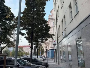 Pronájem bytu 1+1, Praha - Vinohrady, Řipská, 46 m2