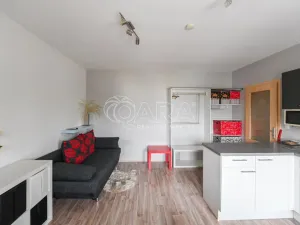 Pronájem bytu 1+kk, Týnec nad Sázavou - Chrást nad Sázavou, 30 m2