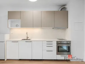 Pronájem bytu 1+kk, Plzeň - Jižní Předměstí, Železná, 28 m2