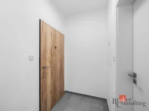 Pronájem bytu 1+kk, Plzeň - Jižní Předměstí, Železná, 28 m2