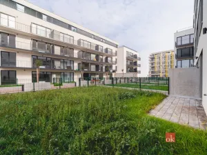 Pronájem bytu 1+kk, Plzeň - Jižní Předměstí, Železná, 28 m2