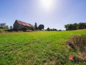 Prodej pozemku pro bydlení, Radnice - Svatá Barbora, 7544 m2