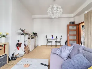 Pronájem bytu 2+1, Praha - Karlín, Thámova, 50 m2