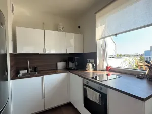 Pronájem bytu 2+kk, Praha - Řeporyje, Wiesenthalova, 84 m2