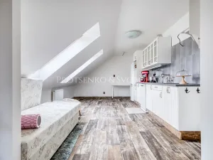 Prodej vícegeneračního domu, Předenice, 482 m2
