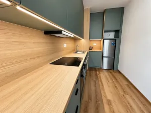 Pronájem bytu 2+kk, Praha - Vysočany, Gerstelova, 62 m2