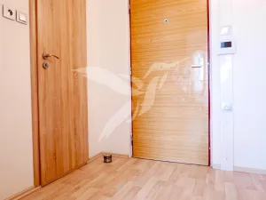 Pronájem bytu 1+kk, Plzeň, Toužimská, 31 m2