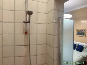 Pronájem bytu 1+1, Praha - Nové Město, Hálkova, 33 m2
