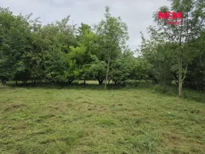 Prodej pozemku pro bydlení, Bor - Boječnice, 1115 m2