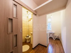 Pronájem bytu 1+1, Praha - Motol, Kudrnova, 29 m2