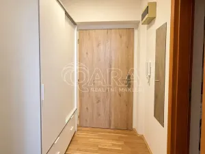Pronájem bytu 1+kk, Praha - Žižkov, Dalimilova, 28 m2