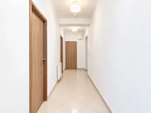 Prodej bytu 1+kk, Brno - Husovice, Svitavská, 35 m2