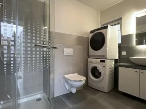 Pronájem bytu 1+kk, Ostrava - Martinov, Kamenná, 33 m2