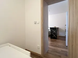 Pronájem bytu 1+kk, Ostrava - Martinov, Kamenná, 33 m2
