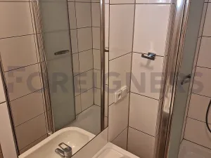 Pronájem bytu 1+kk, Olomouc, Ztracená, 25 m2