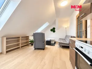 Pronájem bytu 2+kk, Švihov, Čsl. legií, 55 m2