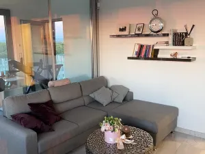 Prodej bytu 2+kk, Praha - Žižkov, Olšanská, 60 m2