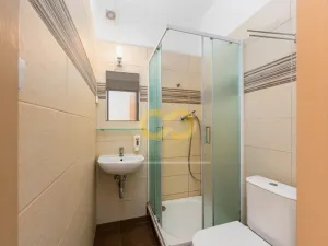 Prodej ubytování, Třeboň, Hliník, 334 m2