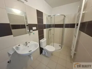 Pronájem bytu 1+1, Prostějov - Krasice, Na Brachlavě, 30 m2
