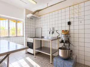 Prodej rodinného domu, Světec, Kostomlatská, 450 m2