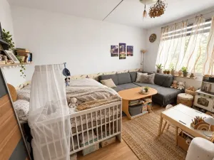Prodej bytu 1+1, Plzeň, Ledecká, 30 m2