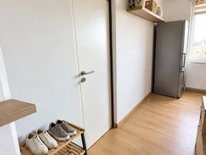 Prodej bytu 1+1, Plzeň, Ledecká, 30 m2