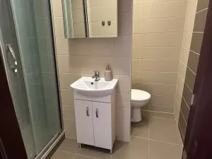 Prodej bytu 1+1, Plzeň, Ledecká, 30 m2