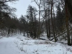 Prodej rybníku, Chotiměř, 6437 m2