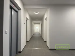Pronájem bytu 1+kk, Mohelnice, Za Penzionem, 25 m2