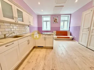 Prodej obchodního prostoru, Písek - Budějovické Předměstí, Tyršova, 330 m2