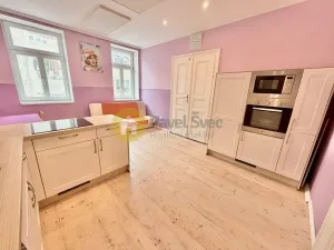 Prodej obchodního prostoru, Písek - Budějovické Předměstí, Tyršova, 330 m2