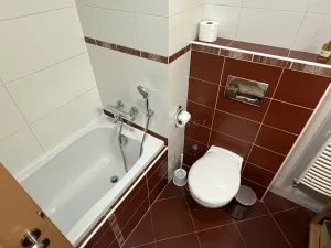 Pronájem bytu 2+kk, Praha - Libeň, Nad Rokoskou, 69 m2
