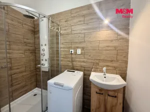 Pronájem bytu 1+1, Ostrava - Přívoz, Mariánskohorská, 40 m2