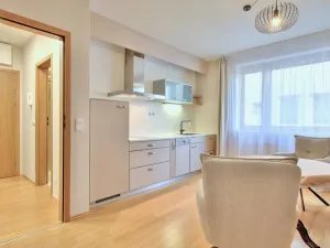 Pronájem bytu 1+kk, Dobřichovice, 5. května, 43 m2