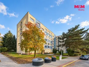 Prodej bytu 1+1, Strakonice - Strakonice I, Máchova, 37 m2