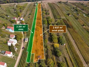 Prodej vinného sklepa, Mutěnice, 107 m2