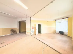 Prodej vícegeneračního domu, Milevsko, Gen. Svobody, 983 m2