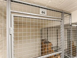 Pronájem bytu 1+kk, Praha - Břevnov, Pod Drinopolem, 41 m2