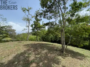Prodej pozemku, Coxen Hole, Roatán, Honduras, 1884 m2