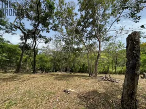Prodej pozemku, Coxen Hole, Roatán, Honduras, 1884 m2