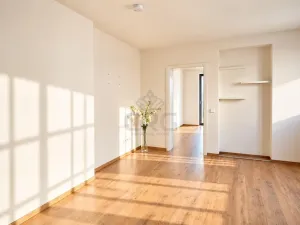 Pronájem bytu 2+kk, Brno - Štýřice, Sovinec, 42 m2