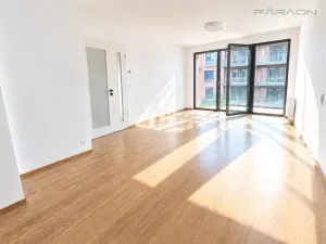 Pronájem bytu 2+kk, Praha - Karlín, Švarcova, 55 m2