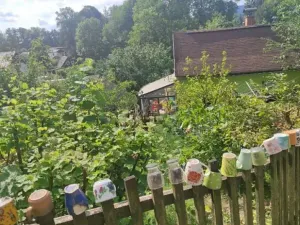 Dražba chaty, Skalice u České Lípy, 70 m2
