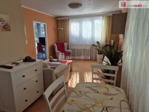 Pronájem bytu 2+1, České Budějovice - České Budějovice 7, L. M. Pařízka, 50 m2