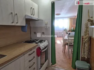 Pronájem bytu 2+1, České Budějovice - České Budějovice 7, L. M. Pařízka, 50 m2